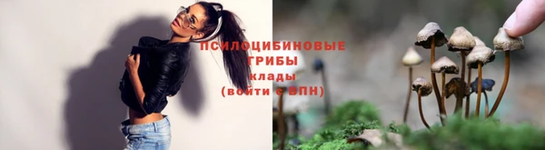 экстази Корсаков