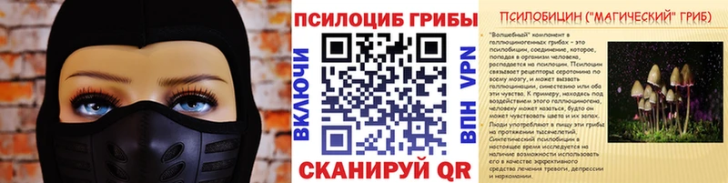Псилоцибиновые грибы GOLDEN TEACHER  Купить закладки  Нариманов 